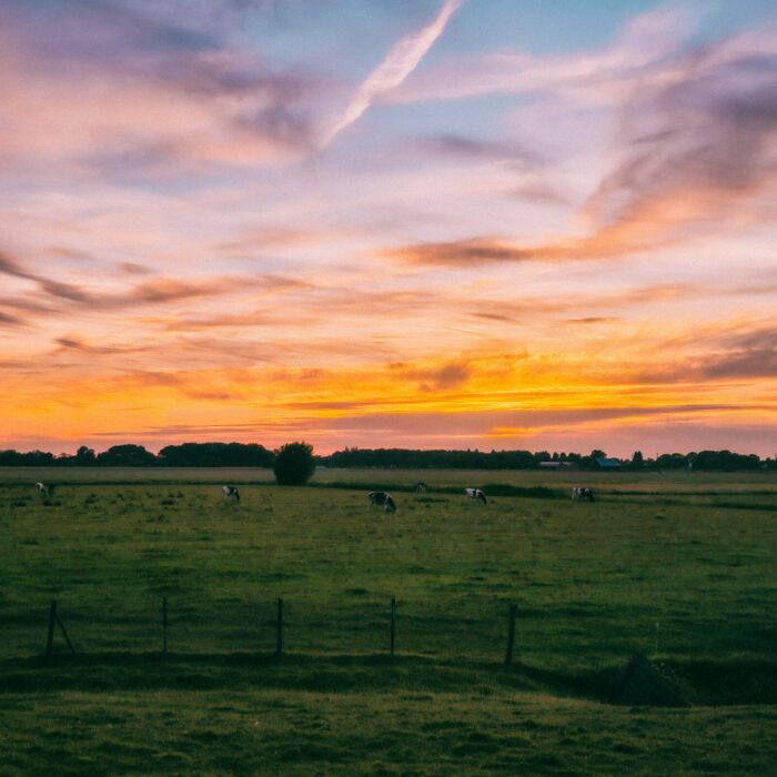 Natuur