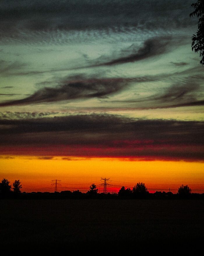 Natuur
