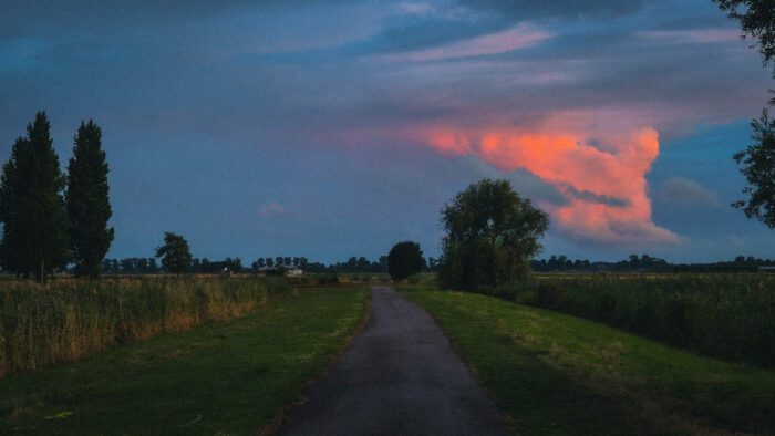 Natuur